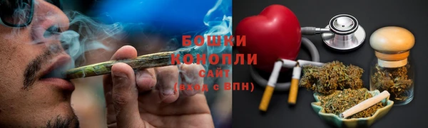 МДПВ Богородск