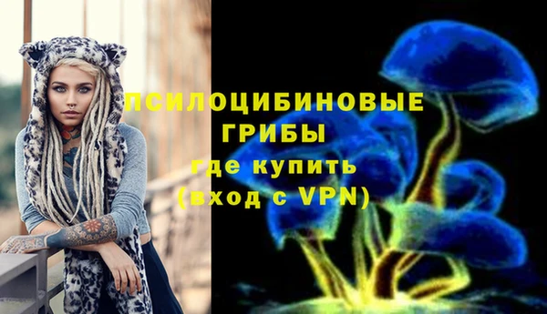 марки nbome Богданович
