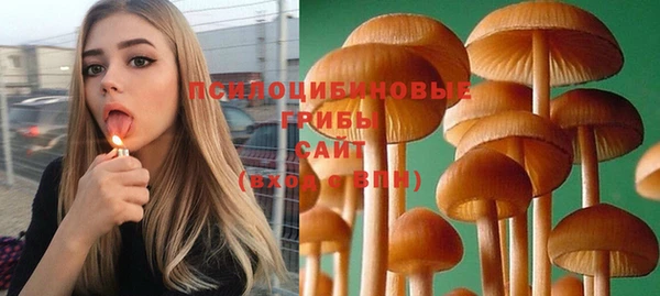 экстази Богородицк
